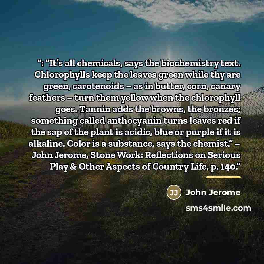 “: “It’s all chemicals, says the biochemistry text. Chlorophylls keep the leaves green while thy are green, carotenoids – as in butter, corn, canary feathers – turn them yellow when the chlorophyll goes. Tannin adds the browns, the bronzes; something called anthocyanin turns leaves red if the sap…” quote by John Jerome