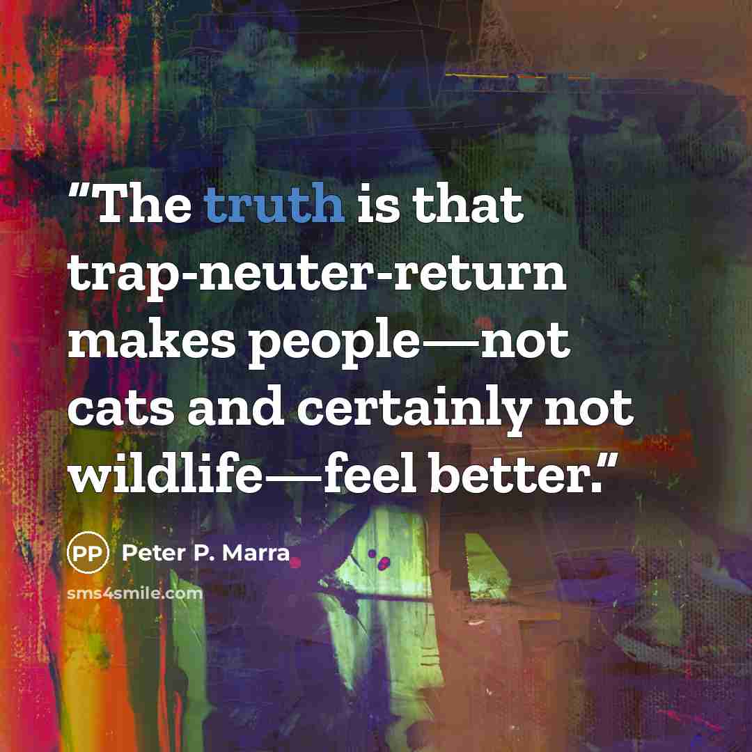“The truth is that trap-neuter-return makes people—not cats and certainly not wildlife—feel better.” quote by Peter P. Marra