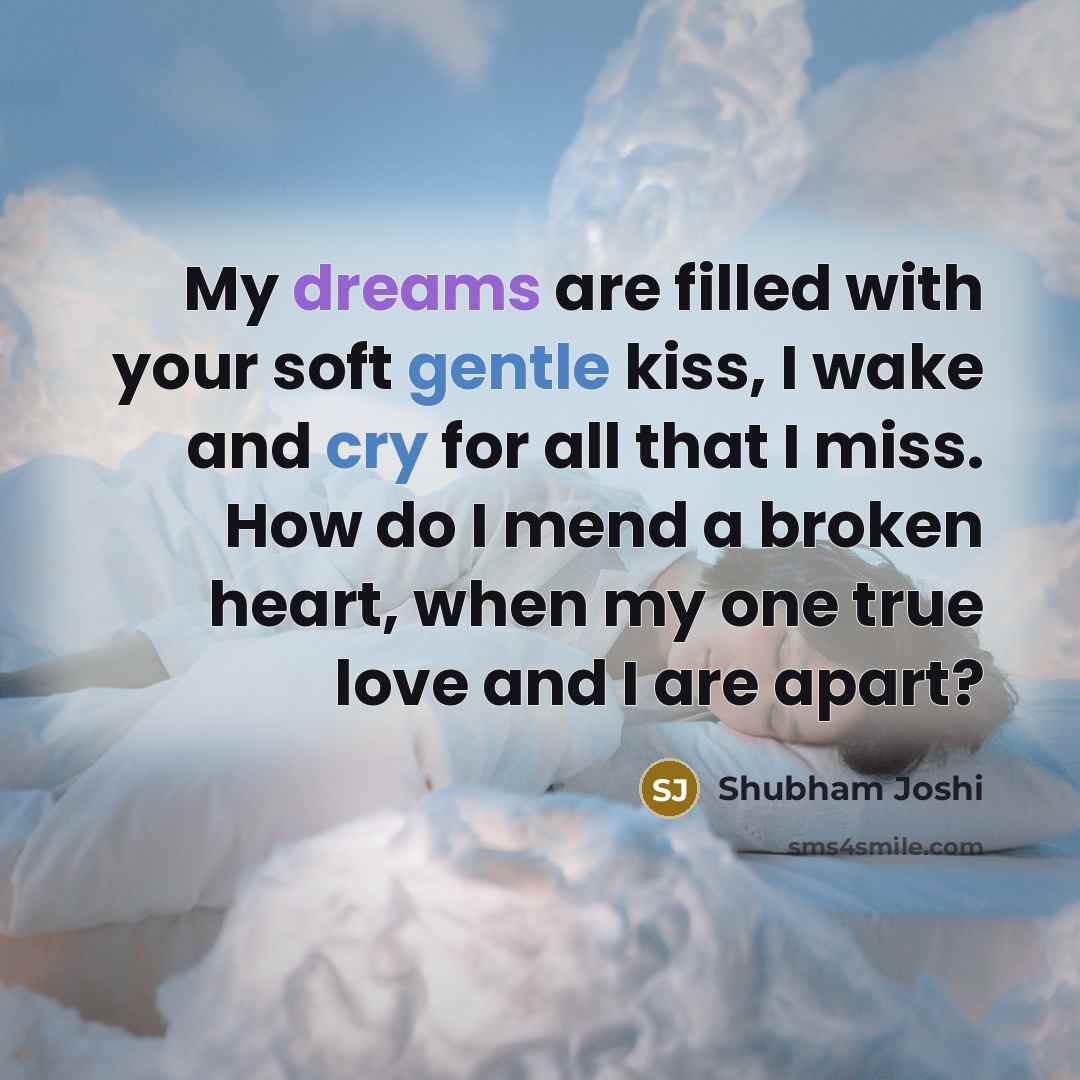 “My dreams are filled with your soft gentle kiss, I wake and cry for all that I miss. How do I mend a broken heart, when my one true love and I are apart?” quote by Shubham Joshi
