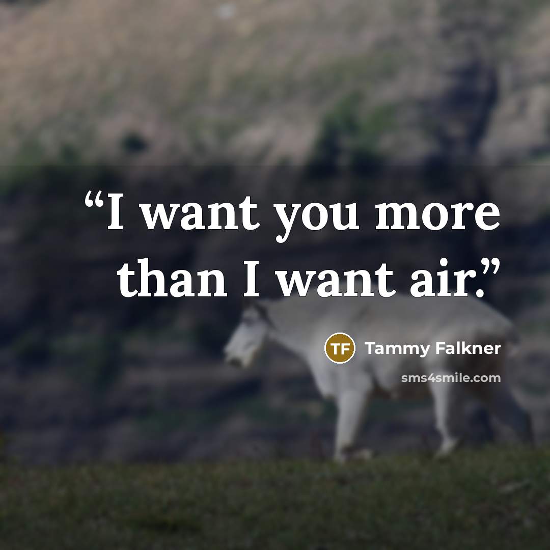 “I want you more than I want air.” quote by Tammy Falkner