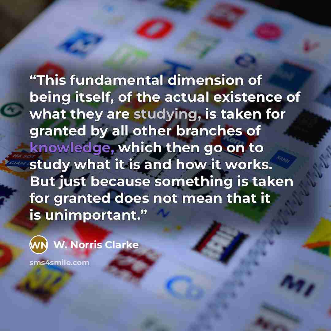 “This fundamental dimension of being itself, of the actual existence of what they are studying, is taken for granted by all other branches of knowledge, which then go on to study what it is and how it works. But just because something is taken for granted does not mean that it is unimportant.” quote by W. Norris Clarke