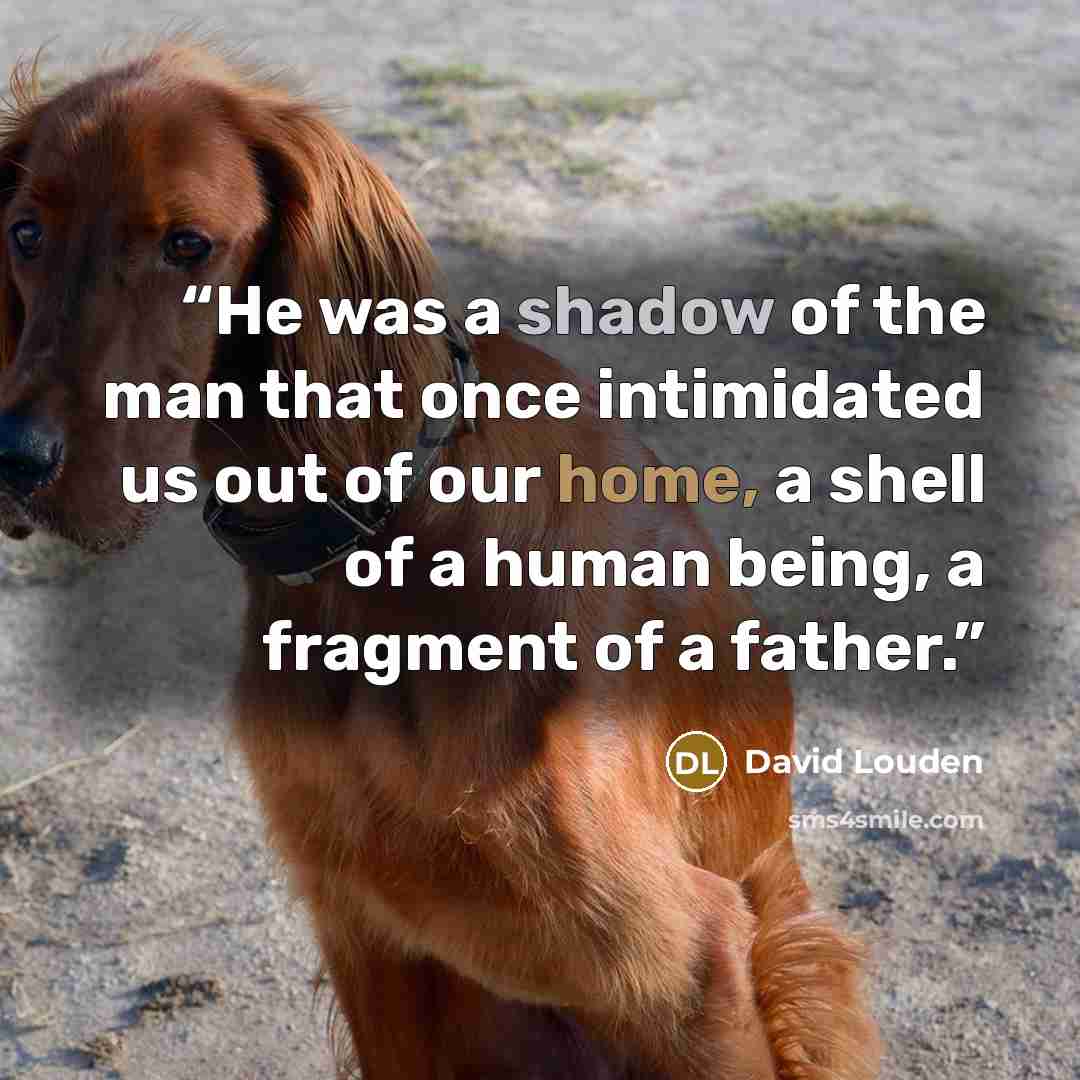 “He was a shadow of the man that once intimidated us out of our home, a shell of a human being, a fragment of a father.” quote by David Louden