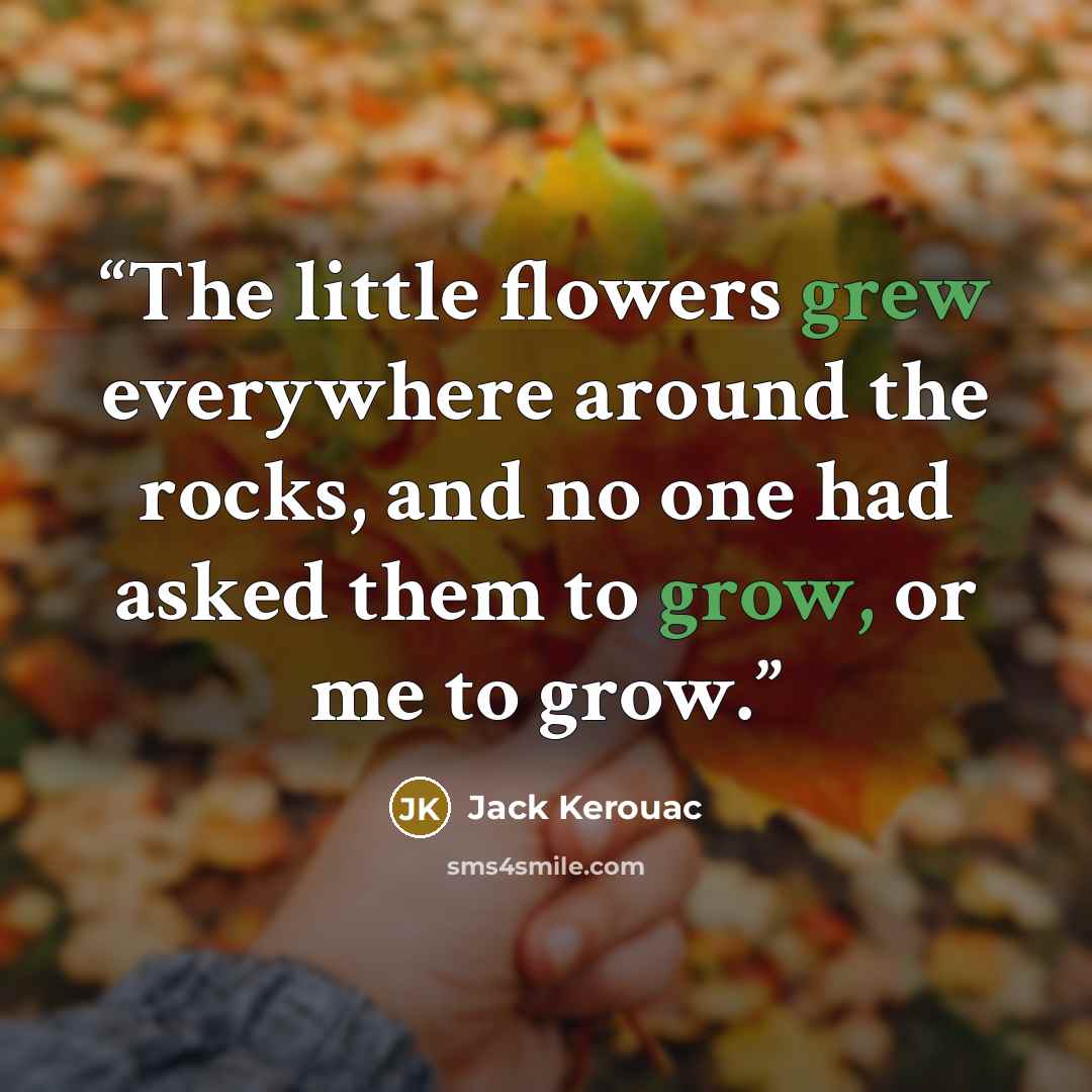 “The little flowers grew everywhere around the rocks, and no one had asked them to grow, or me to grow.” quote by Jack Kerouac