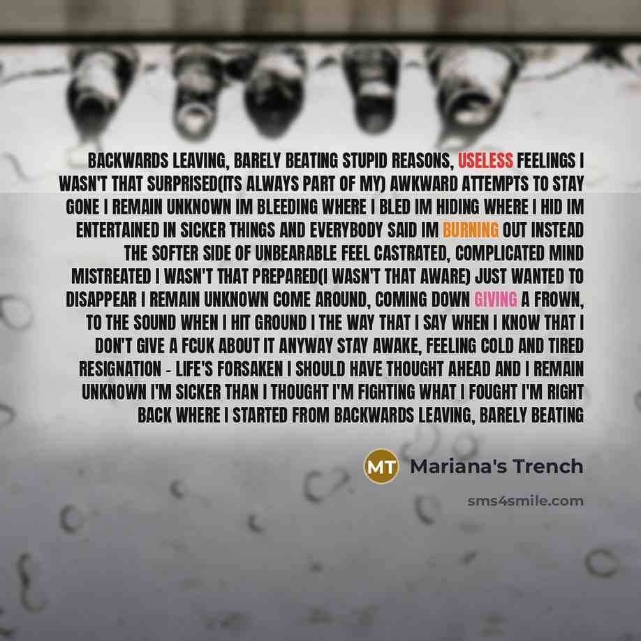“Backwards leaving, Barely beating Stupid reasons, useless feelings I wasn't that surprised(its always part of my) Awkward attempts to stay gone I remain unknown Im bleeding where I bled Im hiding where I hid Im entertained in sicker things And everybody said Im burning out instead The softer side…” quote by Mariana's Trench