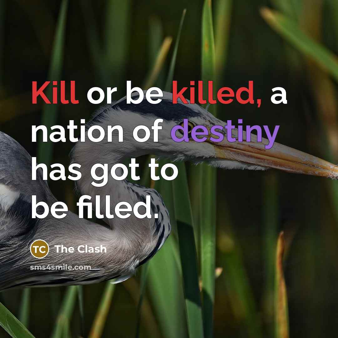 “Kill or be killed, a nation of destiny has got to be filled.” quote by The Clash