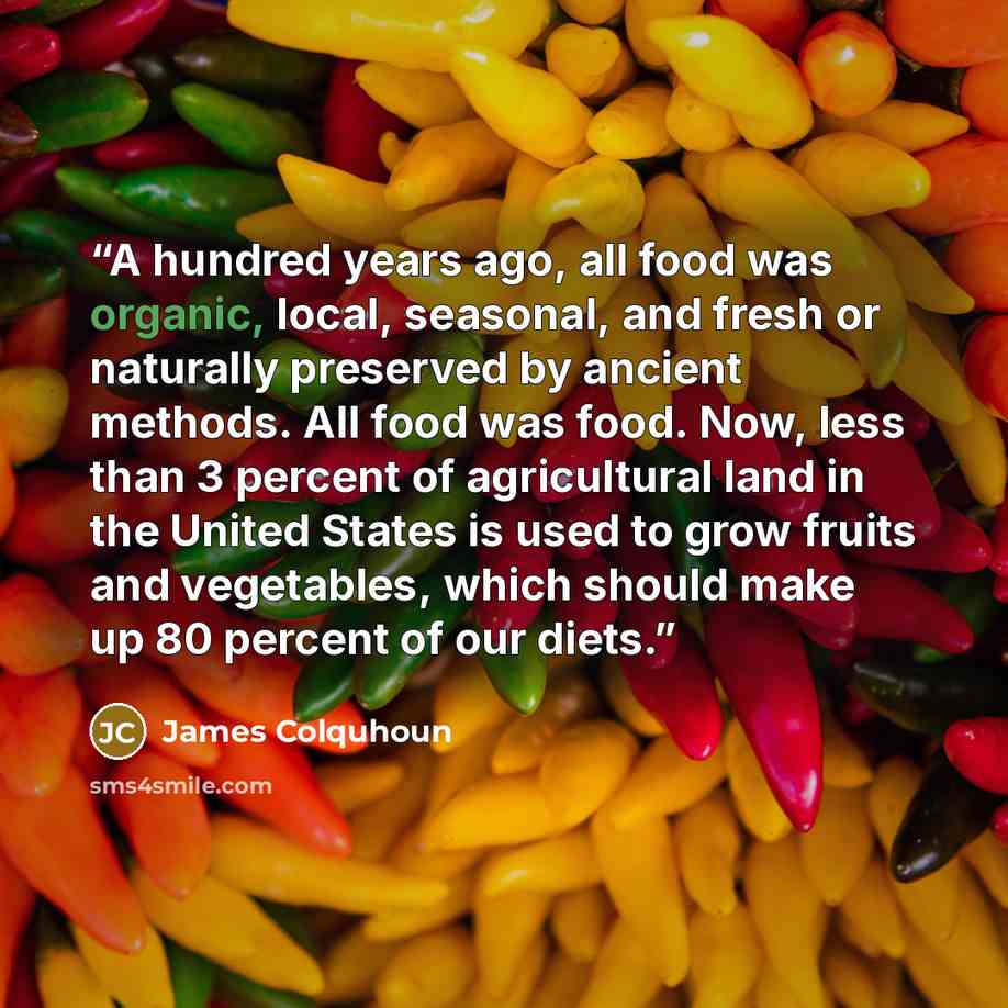 “A hundred years ago, all food was organic, local, seasonal, and fresh or naturally preserved by ancient methods. All food was food. Now, less than 3 percent of agricultural land in the United States is used to grow fruits and vegetables, which should make up 80 percent of our diets.” quote by James Colquhoun
