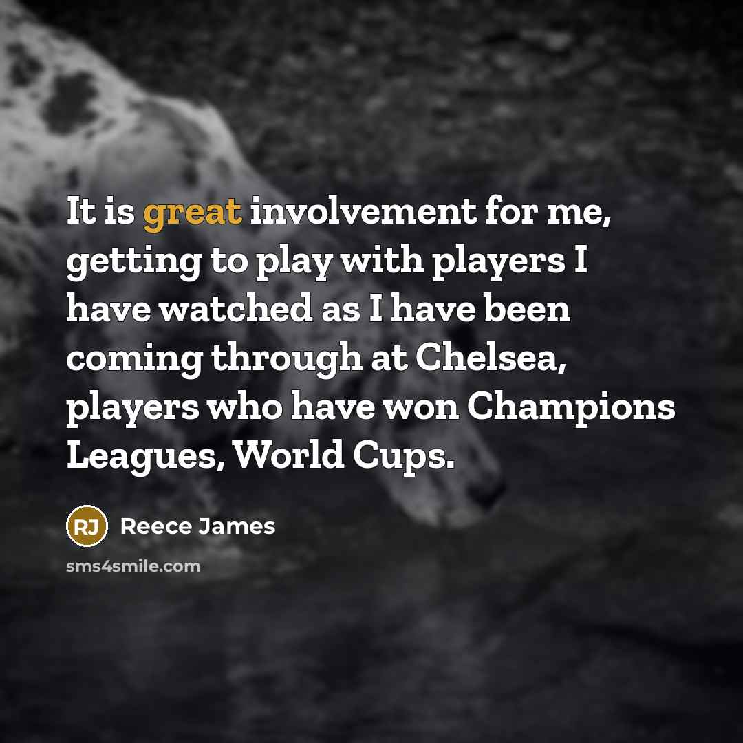 “It is great involvement for me, getting to play with players I have watched as I have been coming through at Chelsea, players who have won Champions Leagues, World Cups.” quote by Reece James