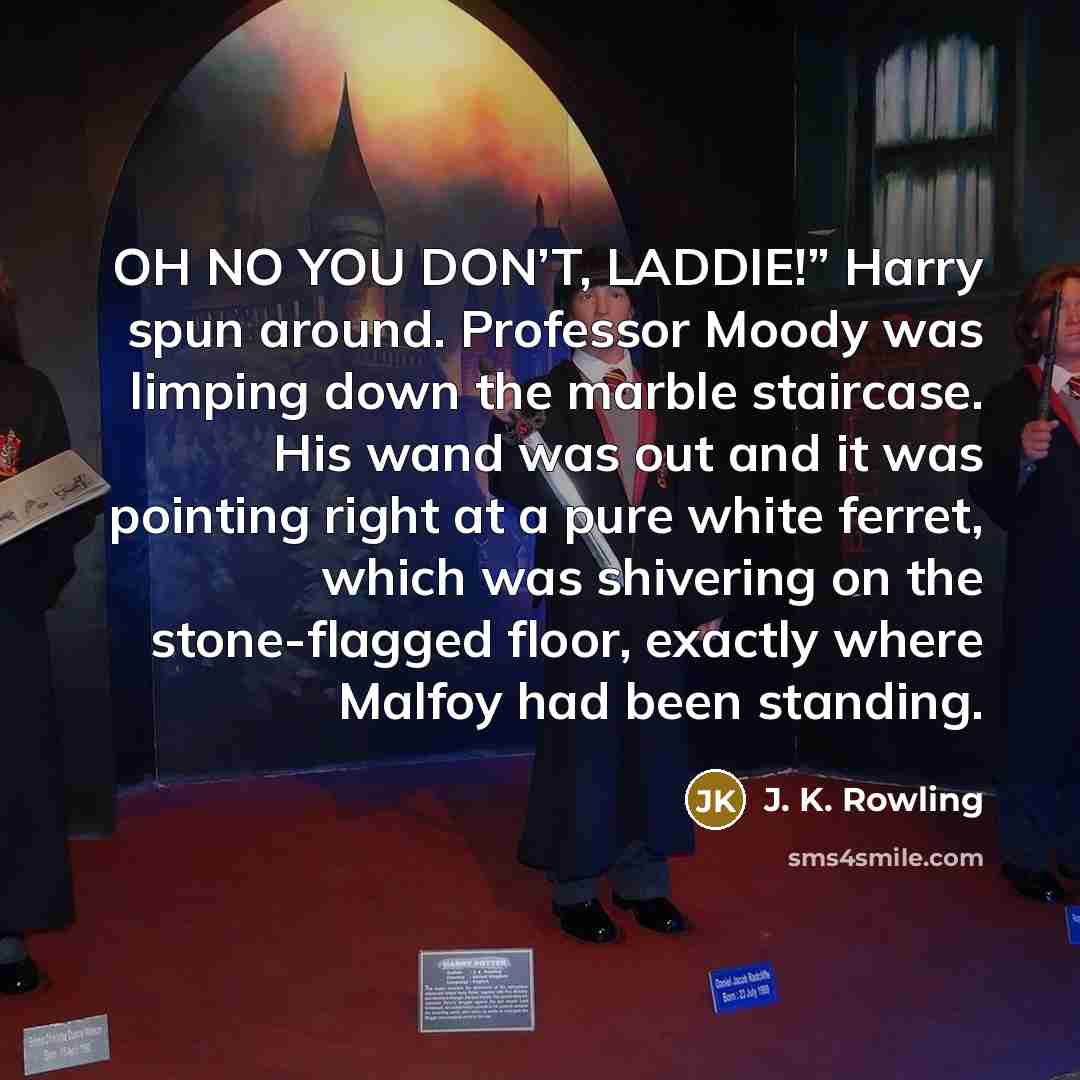 “OH NO YOU DON’T, LADDIE!” Harry spun around. Professor Moody was limping down the marble staircase. His wand was out and it was pointing right at a pure white ferret, which was shivering on the stone-flagged floor, exactly where Malfoy had been standing.” quote by J. K. Rowling