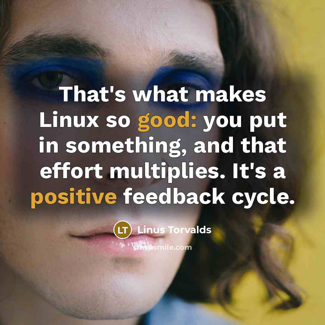 “That's what makes Linux so good: you put in something, and that effort multiplies. It's a positive feedback cycle.” quote by Linus Torvalds