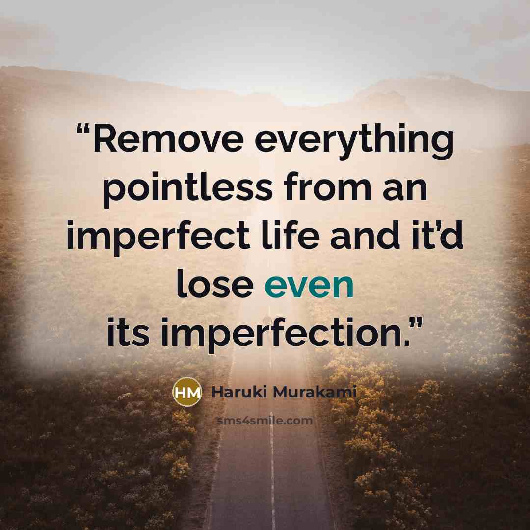 “Remove everything pointless from an imperfect life and it’d lose even its imperfection.” quote by Haruki Murakami