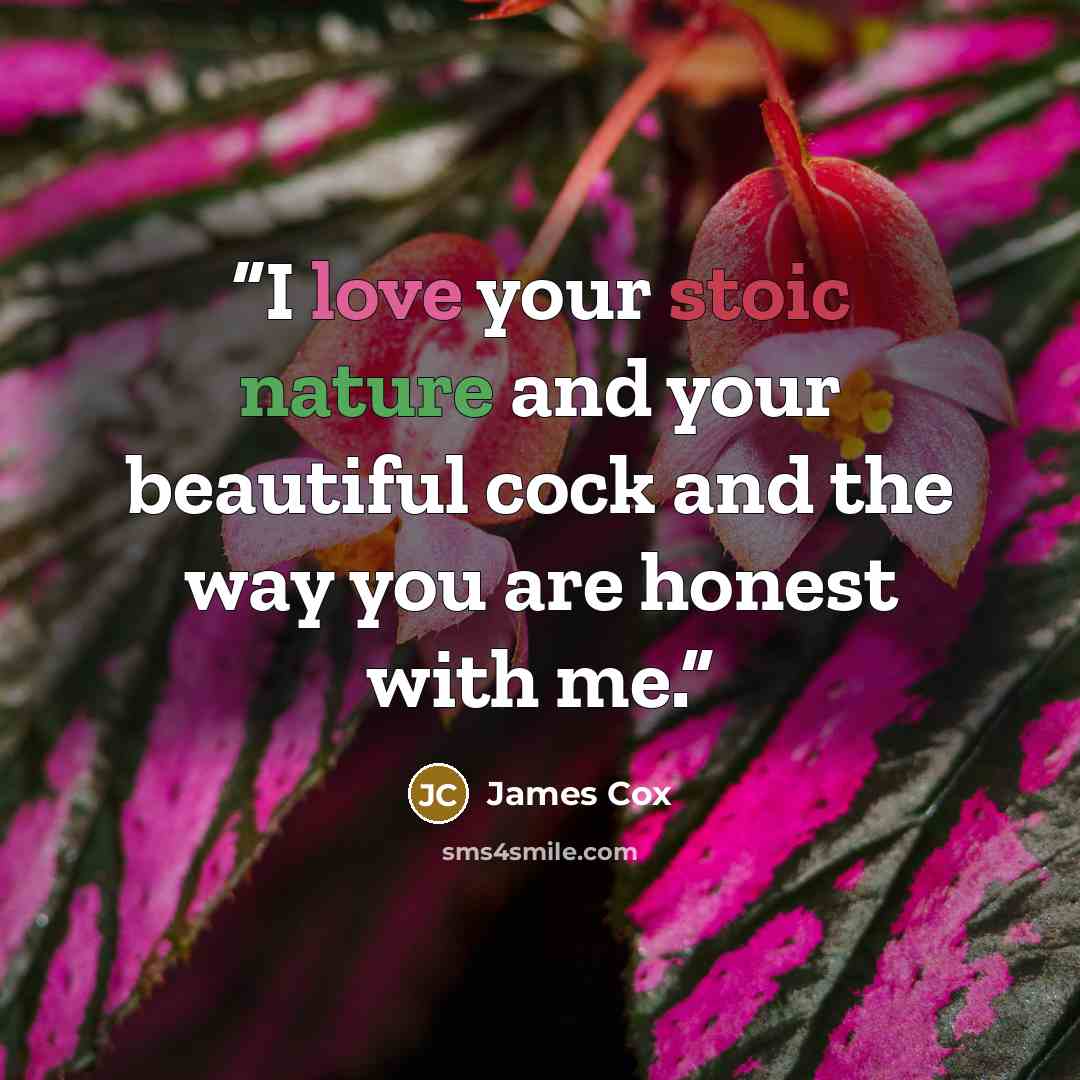 “I love your stoic nature and your beautiful cock and the way you are honest with me.” quote by James Cox
