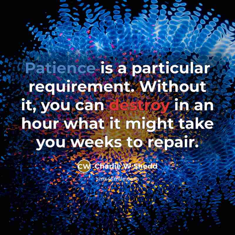 “Patience is a particular requirement. Without it, you can destroy in an hour what it might take you weeks to repair.” quote by Charlie W Shedd