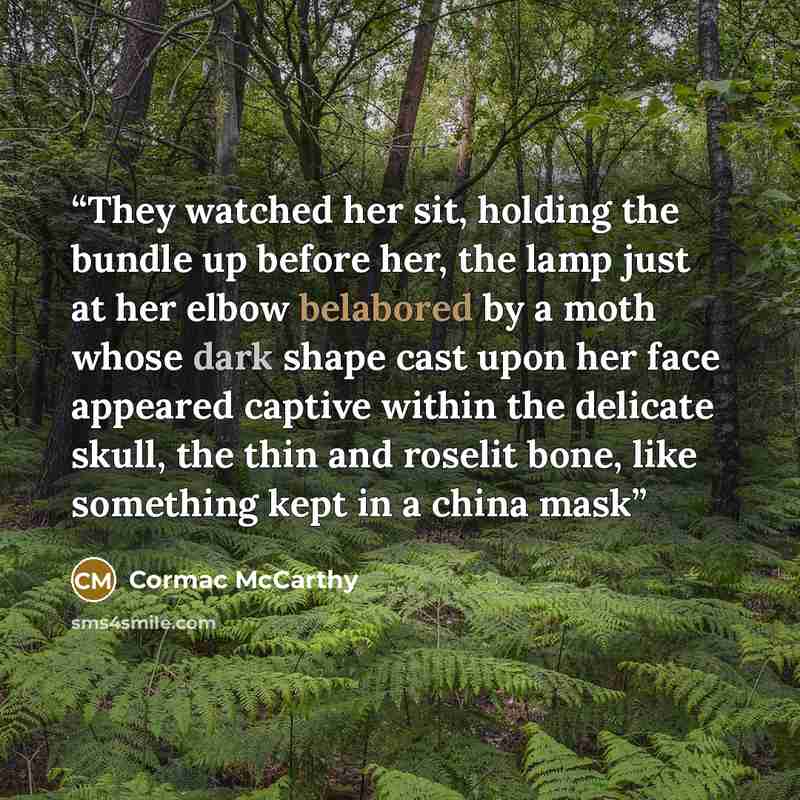 “They watched her sit, holding the bundle up before her, the lamp just at her elbow belabored by a moth whose dark shape cast upon her face appeared captive within the delicate skull, the thin and roselit bone, like something kept in a china mask” quote by Cormac McCarthy