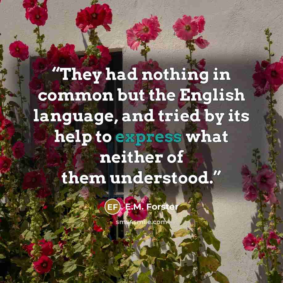 “They had nothing in common but the English language, and tried by its help to express what neither of them understood.” quote by E.M. Forster