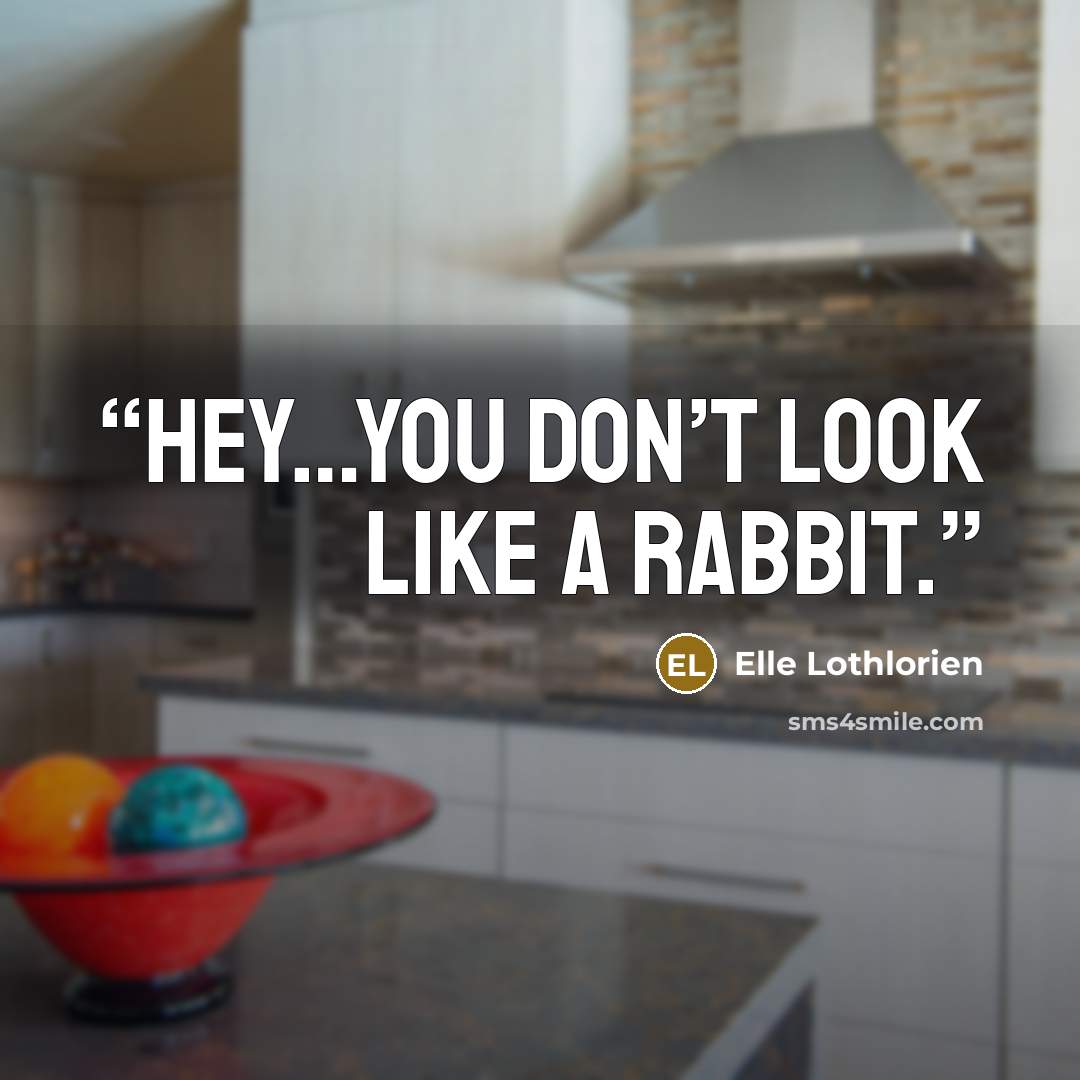 “Hey…you don’t look like a rabbit.” quote by Elle Lothlorien