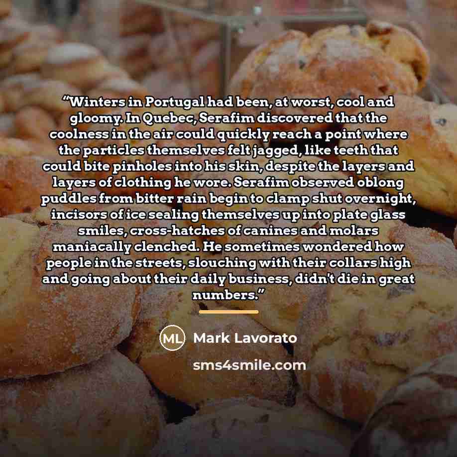 “Winters in Portugal had been, at worst, cool and gloomy. In Quebec, Serafim discovered that the coolness in the air could quickly reach a point where the particles themselves felt jagged, like teeth that could bite pinholes into his skin, despite the layers and layers of clothing he wore. Serafim…” quote by Mark Lavorato