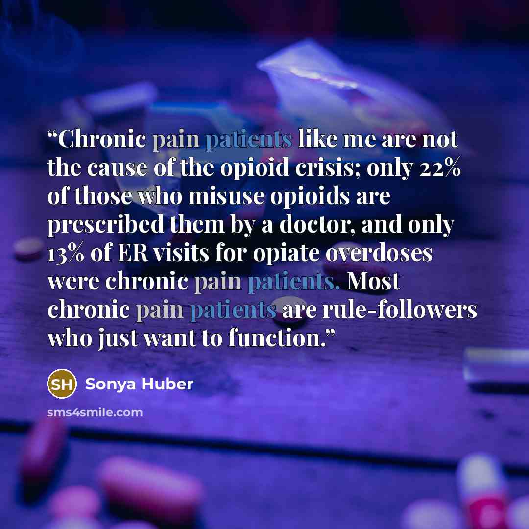 “Chronic pain patients like me are not the cause of the opioid crisis; only 22% of those who misuse opioids are prescribed them by a doctor, and only 13% of ER visits for opiate overdoses were chronic pain patients. Most chronic pain patients are rule-followers who just want to function.” quote by Sonya Huber