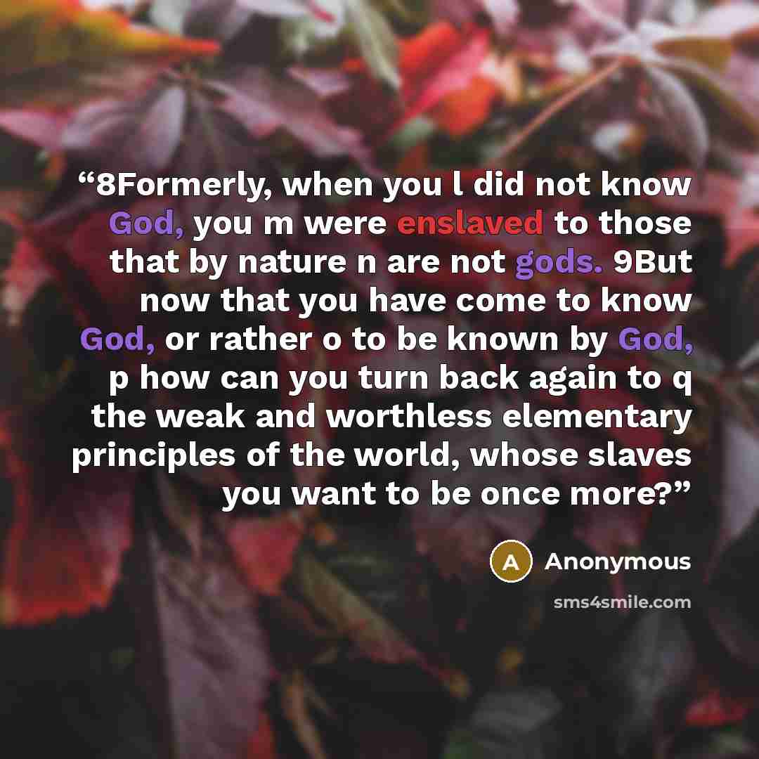 “8Formerly, when you l did not know God, you m were enslaved to those that by nature n are not gods. 9But now that you have come to know God, or rather o to be known by God, p how can you turn back again to q the weak and worthless elementary principles of the world, whose slaves you want to be…” quote by Anonymous