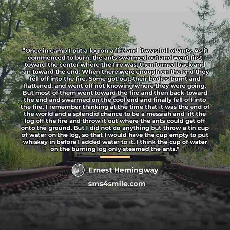 “Once in camp I put a log on a fire and it was full of ants. As it commenced to burn, the ants swarmed out and went first toward the center where the fire was; then turned back and ran toward the end. When there were enough on the end they fell off into the fire. Some got out, their bodies burnt…” quote by Ernest Hemingway