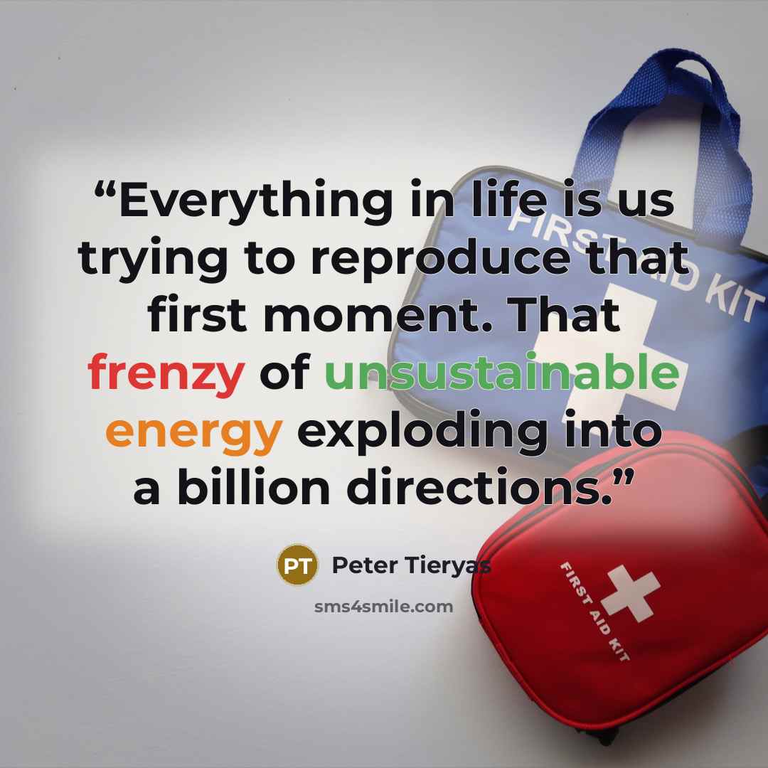 “Everything in life is us trying to reproduce that first moment. That frenzy of unsustainable energy exploding into a billion directions.” quote by Peter Tieryas