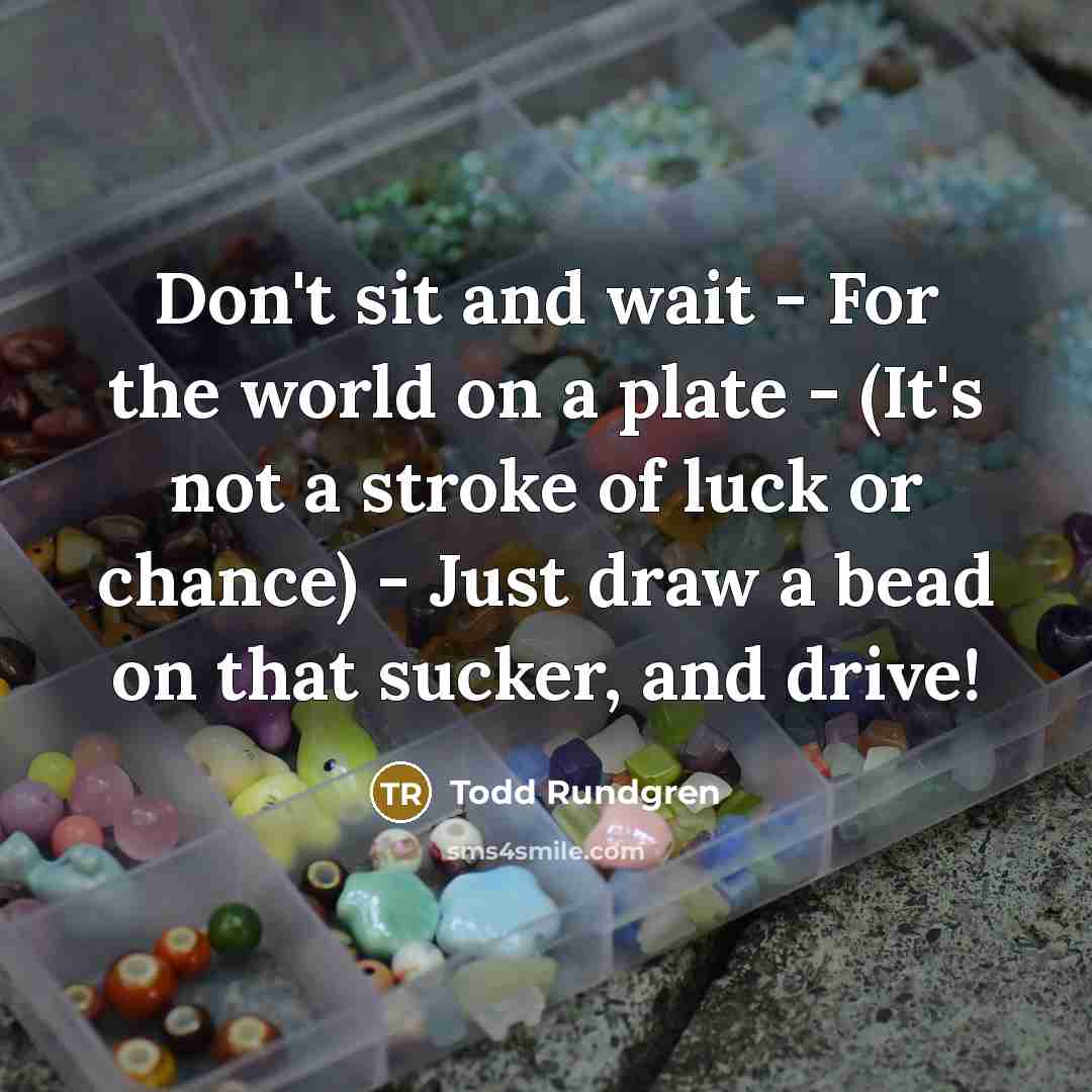 “Don't sit and wait - For the world on a plate - (It's not a stroke of luck or chance) - Just draw a bead on that sucker, and drive!” quote by Todd Rundgren