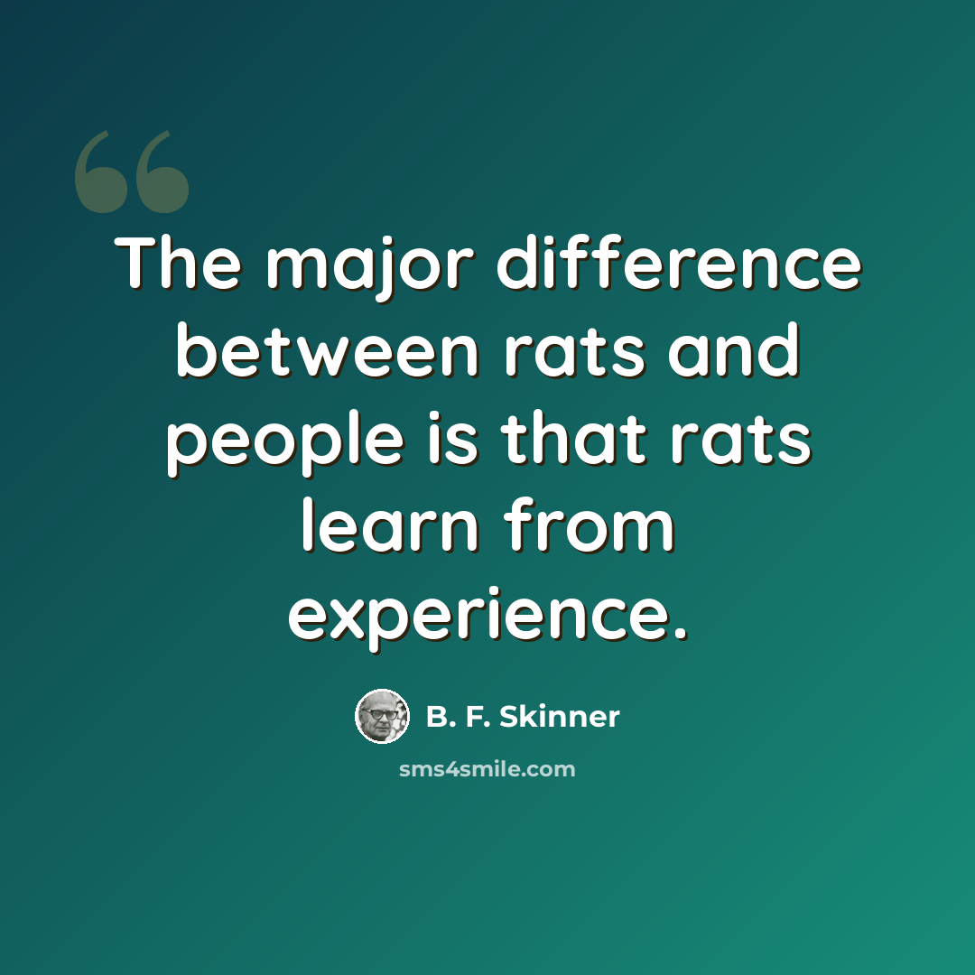 “The major difference between rats and people is that rats learn from experience.” quote by B. F. Skinner
