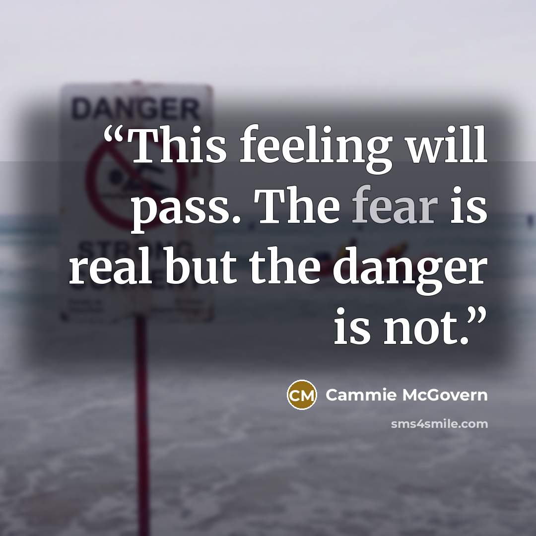 “This feeling will pass. The fear is real but the danger is not.” quote by Cammie McGovern