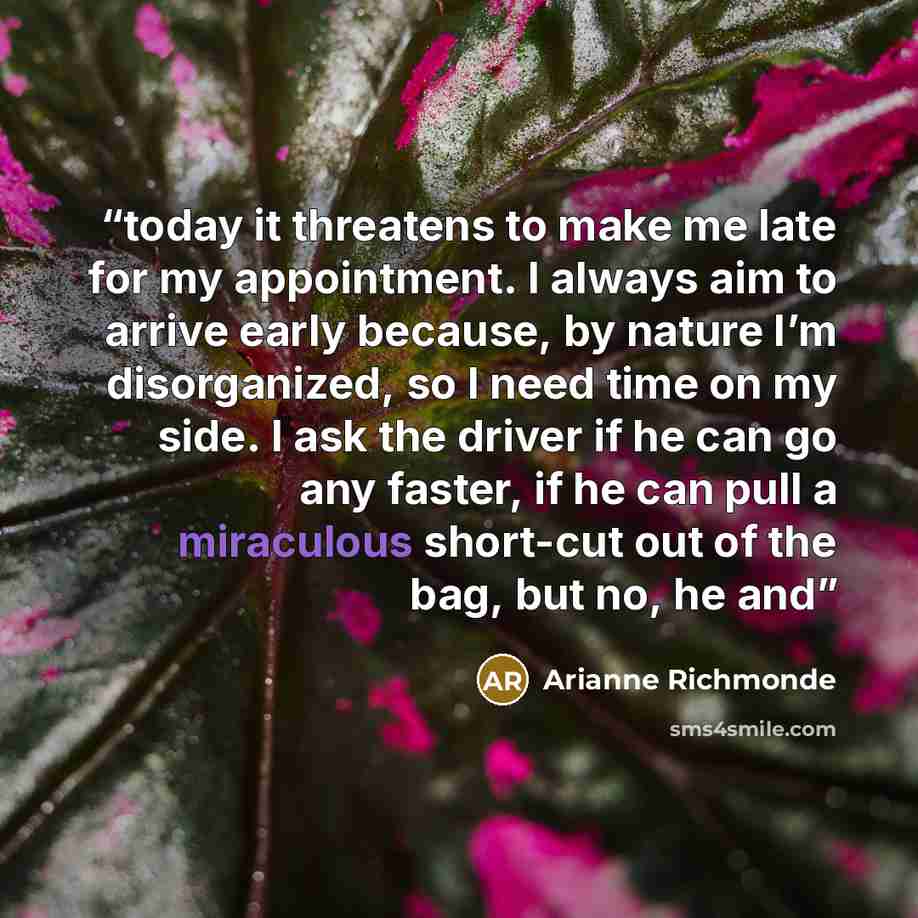 “today it threatens to make me late for my appointment. I always aim to arrive early because, by nature I’m disorganized, so I need time on my side. I ask the driver if he can go any faster, if he can pull a miraculous short-cut out of the bag, but no, he and” quote by Arianne Richmonde