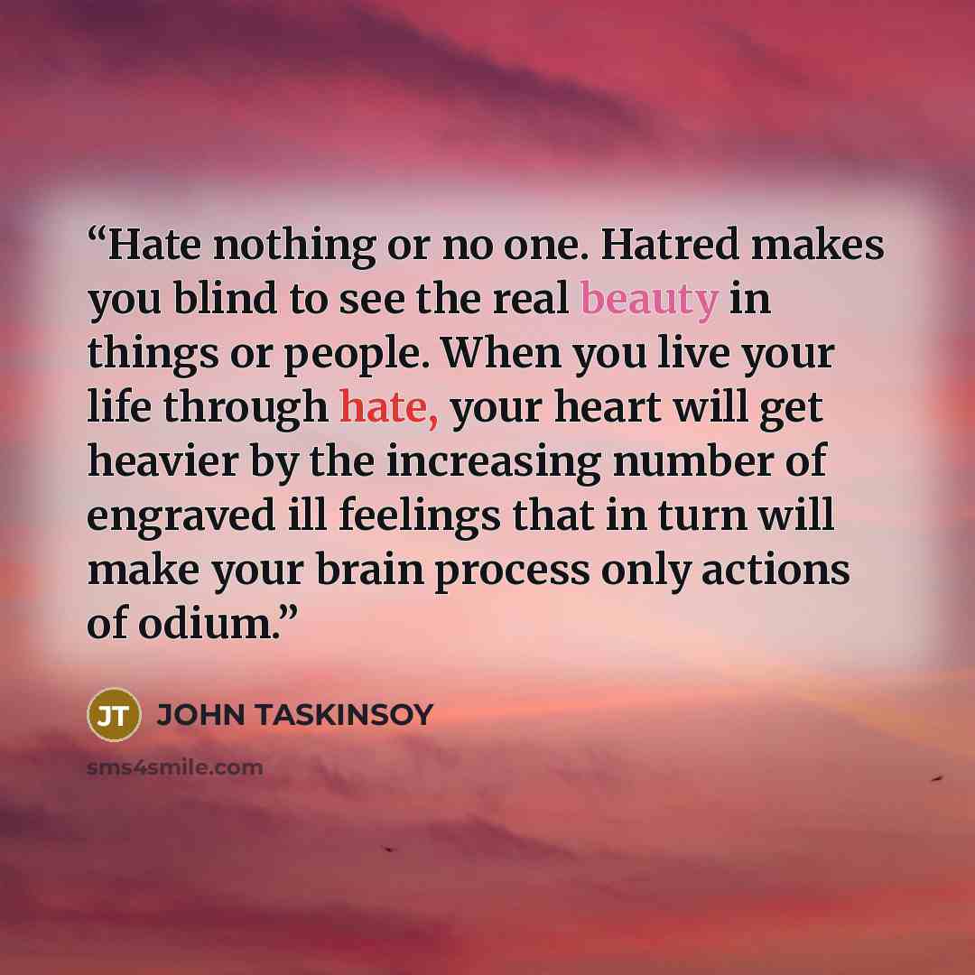 “Hate nothing or no one. Hatred makes you blind to see the real beauty in things or people. When you live your life through hate, your heart will get heavier by the increasing number of engraved ill feelings that in turn will make your brain process only actions of odium.” quote by JOHN TASKINSOY