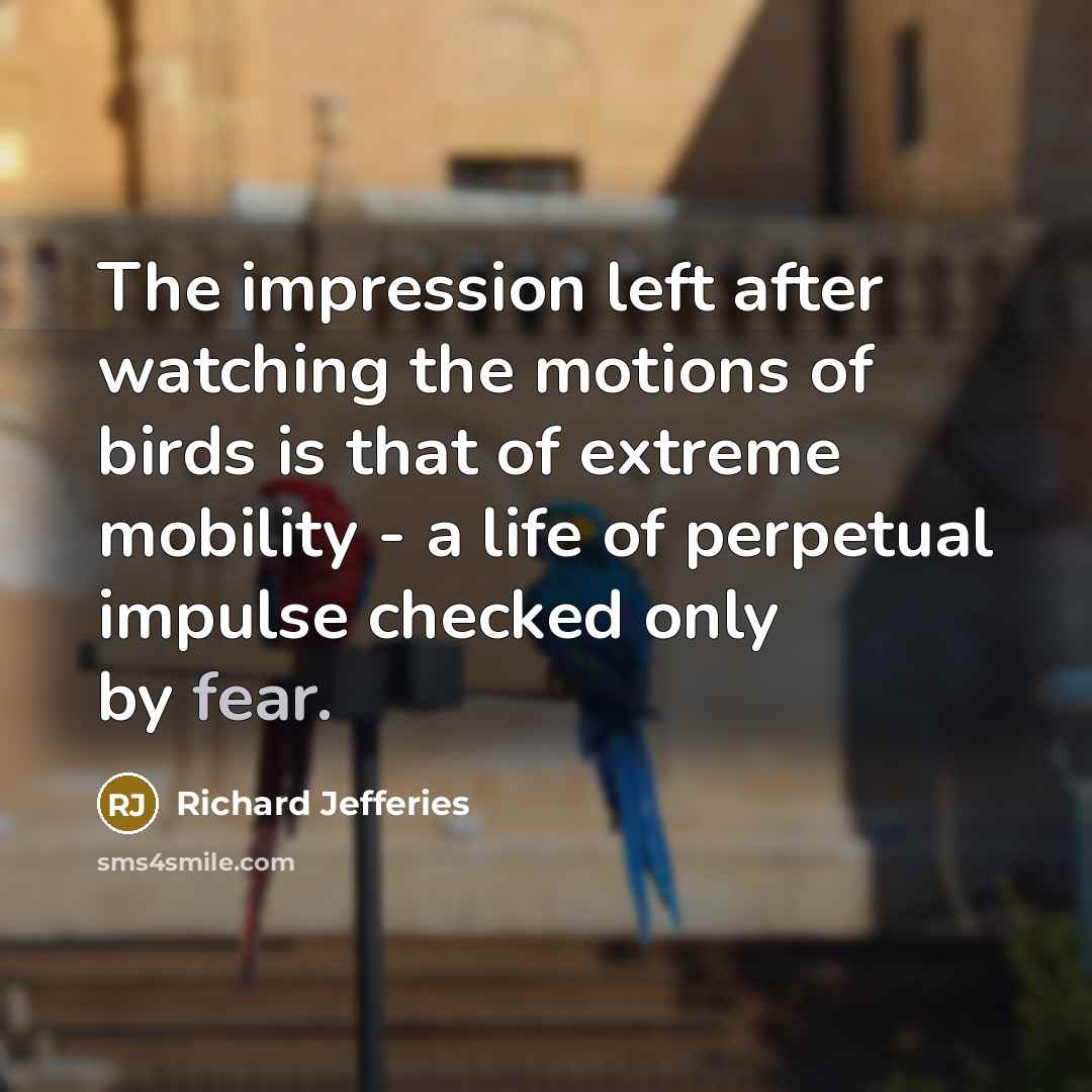 “The impression left after watching the motions of birds is that of extreme mobility - a life of perpetual impulse checked only by fear.” quote by Richard Jefferies