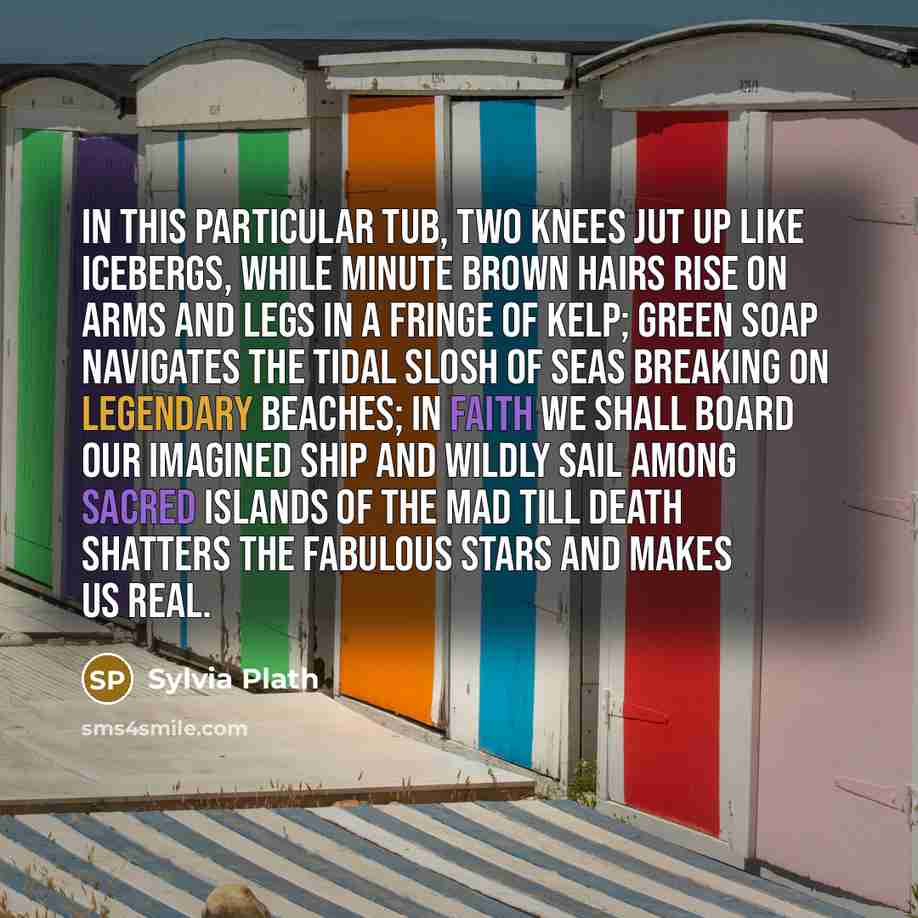 “In this particular tub, two knees jut up like icebergs, while minute brown hairs rise on arms and legs in a fringe of kelp; green soap navigates the tidal slosh of seas breaking on legendary beaches; in faith we shall board our imagined ship and wildly sail among sacred islands of the mad till…” quote by Sylvia Plath