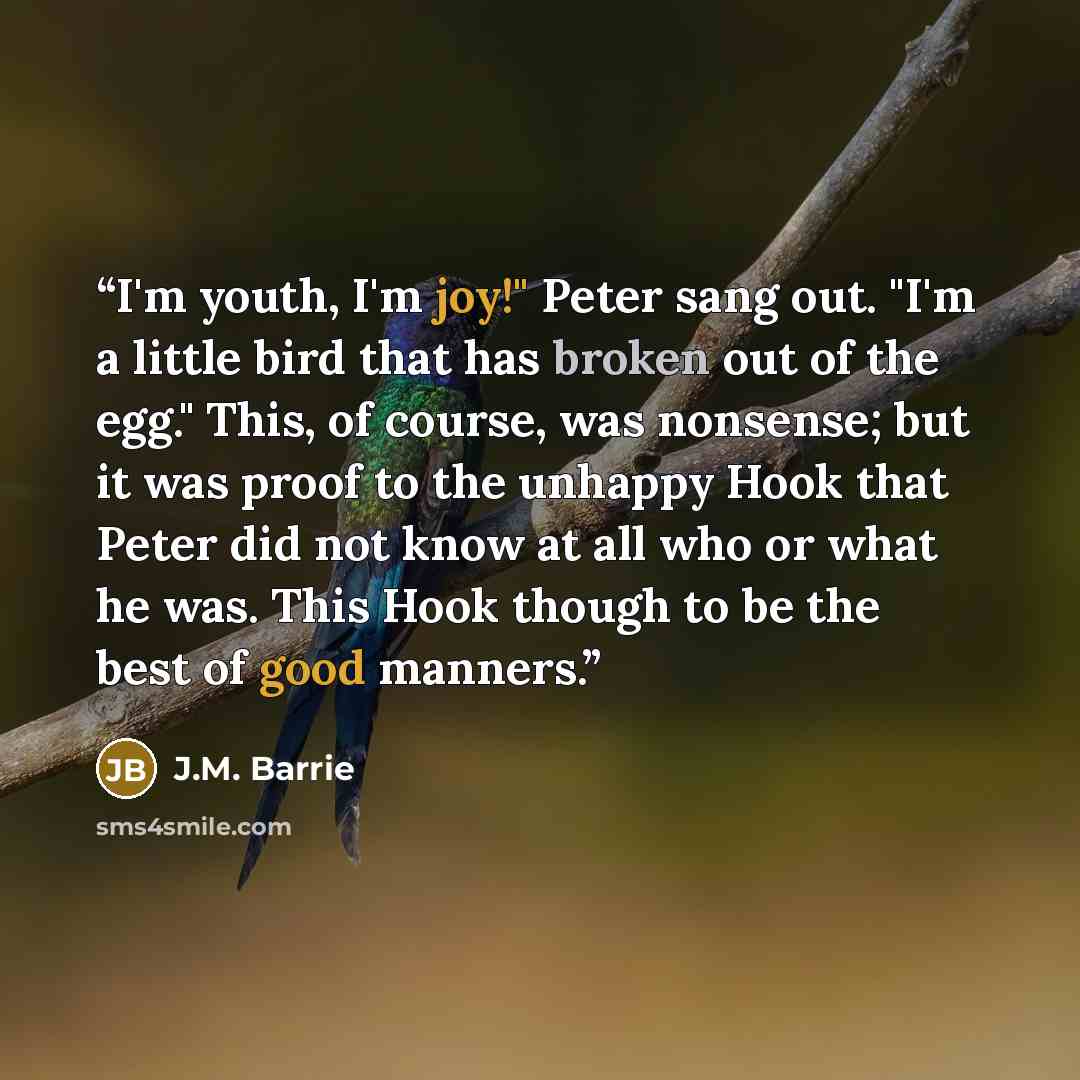 “I'm youth, I'm joy!" Peter sang out. "I'm a little bird that has broken out of the egg." This, of course, was nonsense; but it was proof to the unhappy Hook that Peter did not know at all who or what he was. This Hook though to be the best of good manners.” quote by J.M. Barrie