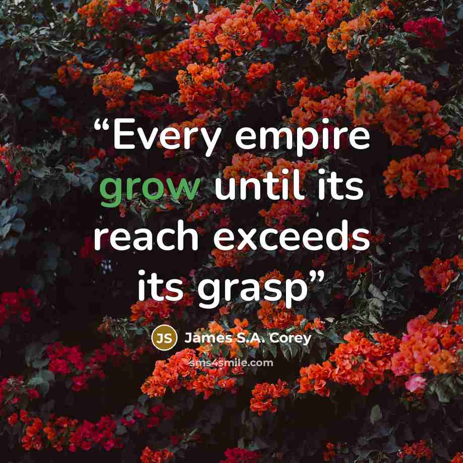 “Every empire grow until its reach exceeds its grasp” quote by James S.A. Corey