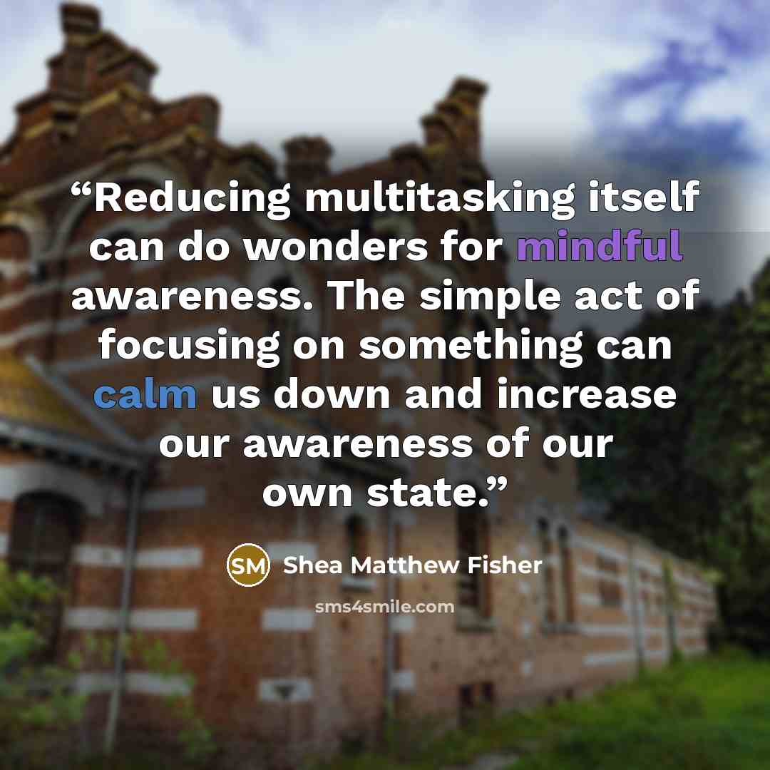 “Reducing multitasking itself can do wonders for mindful awareness. The simple act of focusing on something can calm us down and increase our awareness of our own state.” quote by Shea Matthew Fisher
