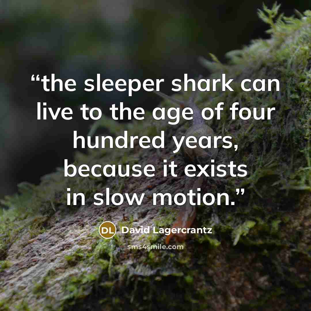 “the sleeper shark can live to the age of four hundred years, because it exists in slow motion.” quote by David Lagercrantz