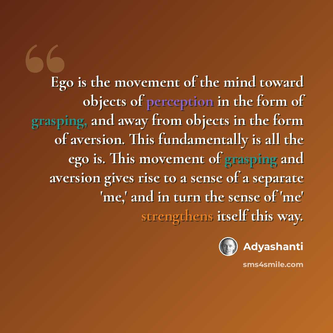 “Ego is the movement of the mind toward objects of perception in the form of grasping, and away from objects in the form of aversion. This fundamentally is all the ego is. This movement of grasping and aversion gives rise to a sense of a separate 'me,' and in turn the sense of 'me' strengthens…” quote by Adyashanti