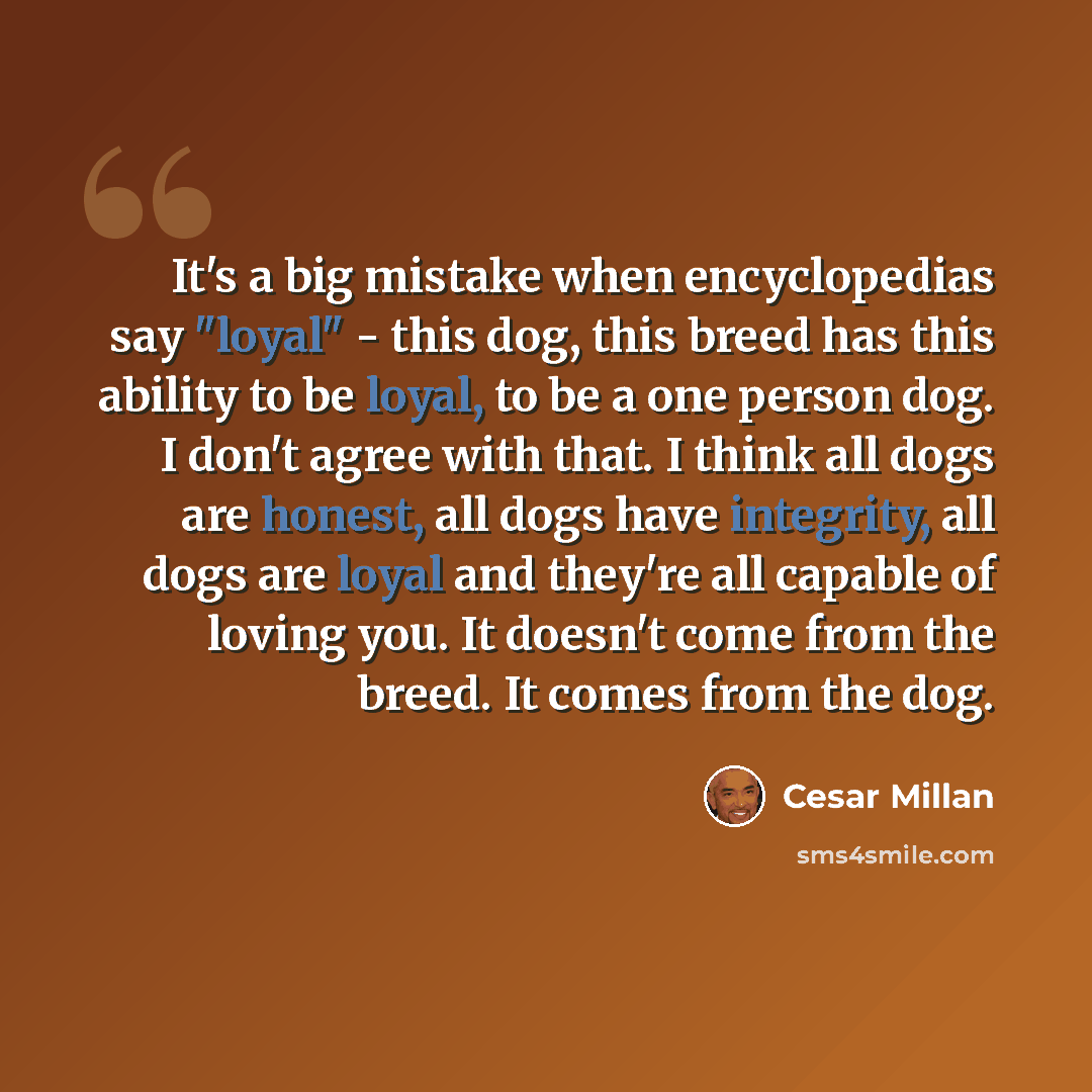 “It's a big mistake when encyclopedias say "loyal" - this dog, this breed has this ability to be loyal, to be a one person dog. I don't agree with that. I think all dogs are honest, all dogs have integrity, all dogs are loyal and they're all capable of loving you. It doesn't come from the breed. It…” quote by Cesar Millan