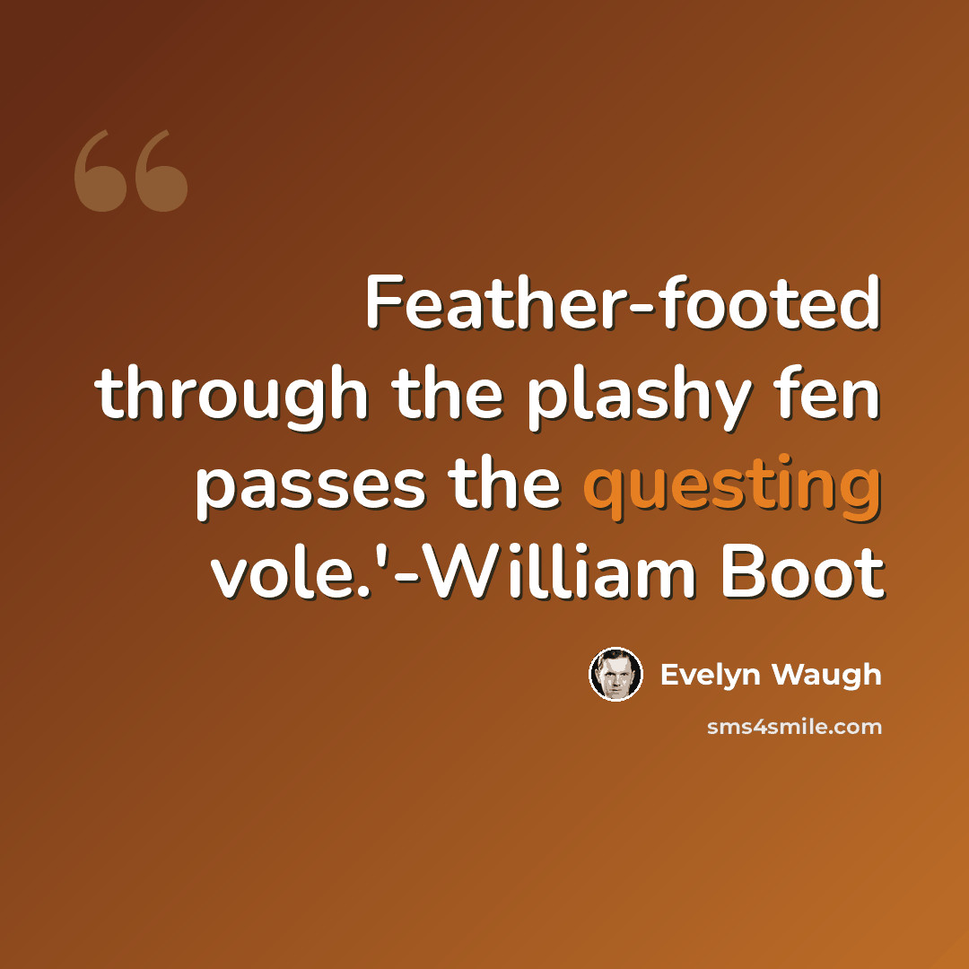 “Feather-footed through the plashy fen passes the questing vole.'-William Boot” quote by Evelyn Waugh