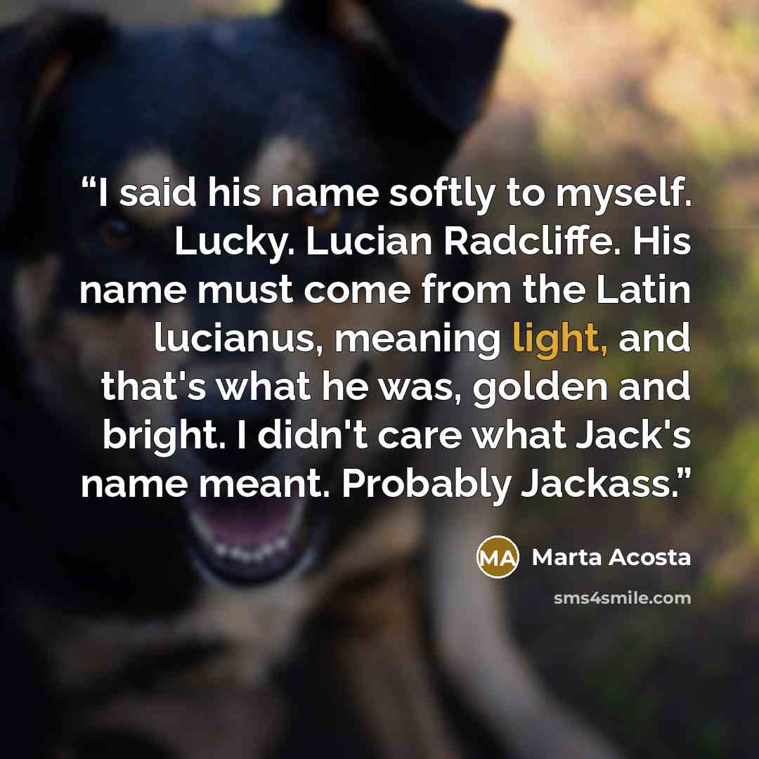 “I said his name softly to myself. Lucky. Lucian Radcliffe. His name must come from the Latin lucianus, meaning light, and that's what he was, golden and bright. I didn't care what Jack's name meant. Probably Jackass.” quote by Marta Acosta