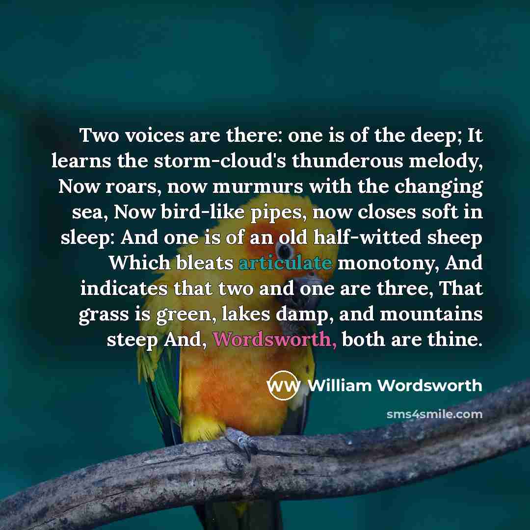 “Two voices are there: one is of the deep; It learns the storm-cloud's thunderous melody, Now roars, now murmurs with the changing sea, Now bird-like pipes, now closes soft in sleep: And one is of an old half-witted sheep Which bleats articulate monotony, And indicates that two and one are three…” quote by William Wordsworth