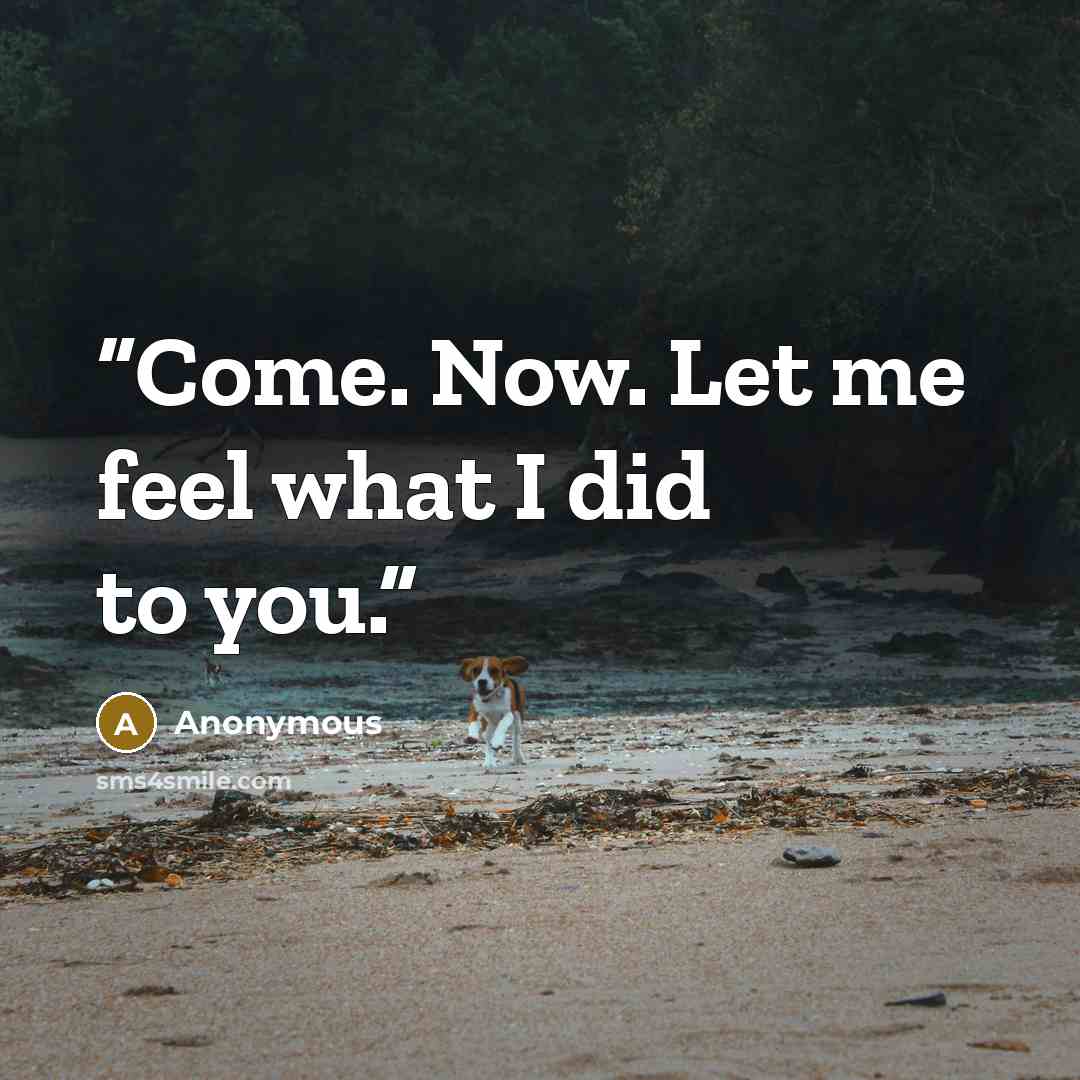 “Come. Now. Let me feel what I did to you.” quote by Anonymous