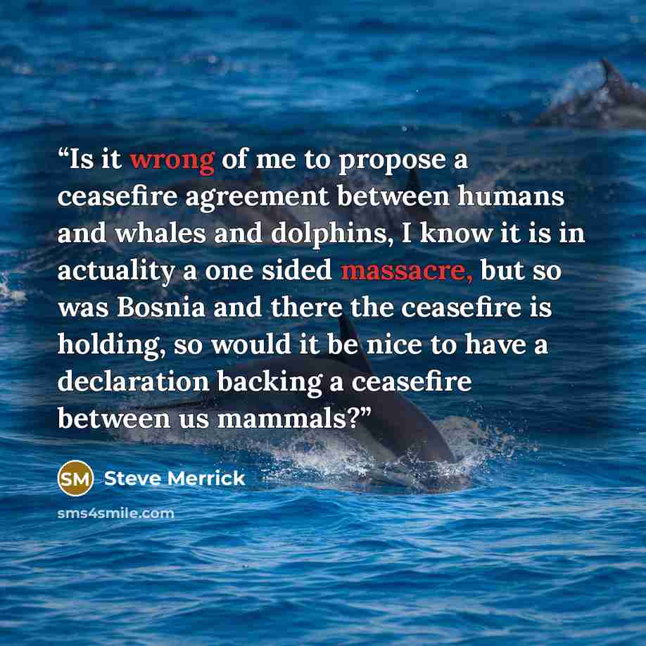 “Is it wrong of me to propose a ceasefire agreement between humans and whales and dolphins, I know it is in actuality a one sided massacre, but so was Bosnia and there the ceasefire is holding, so would it be nice to have a declaration backing a ceasefire between us mammals?” quote by Steve Merrick
