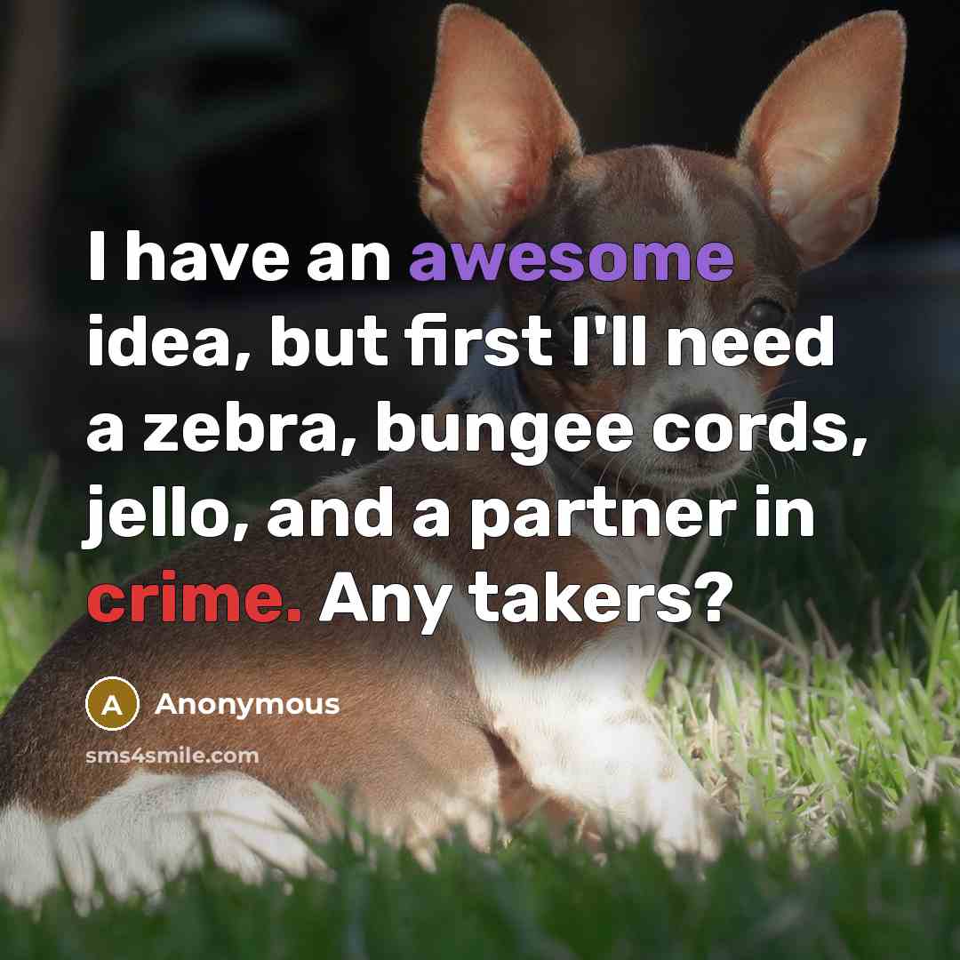 “I have an awesome idea, but first I'll need a zebra, bungee cords, jello, and a partner in crime. Any takers?” quote by Anonymous