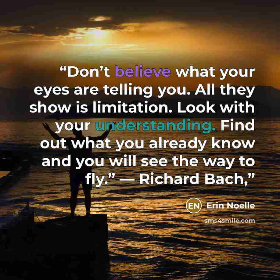 “Don’t believe what your eyes are telling you. All they show is limitation. Look with your understanding. Find out what you already know and you will see the way to fly.” ― Richard Bach,” quote by Erin Noelle