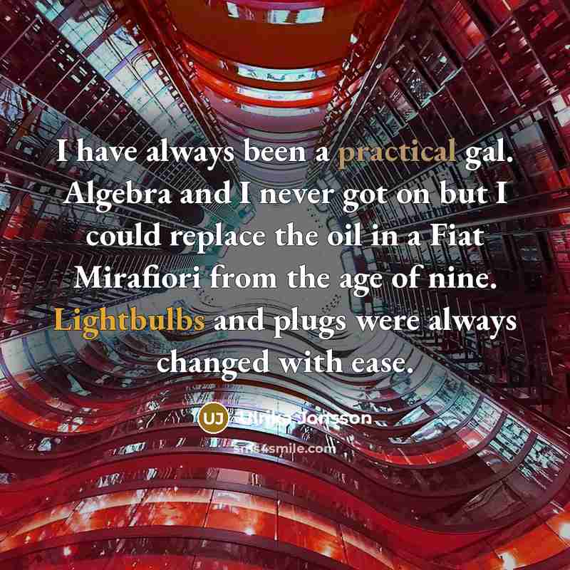 “I have always been a practical gal. Algebra and I never got on but I could replace the oil in a Fiat Mirafiori from the age of nine. Lightbulbs and plugs were always changed with ease.” quote by Ulrika Jonsson