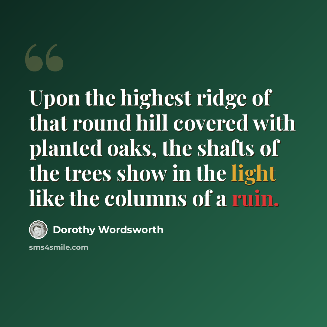 “Upon the highest ridge of that round hill covered with planted oaks, the shafts of the trees show in the light like the columns of a ruin.” quote by Dorothy Wordsworth