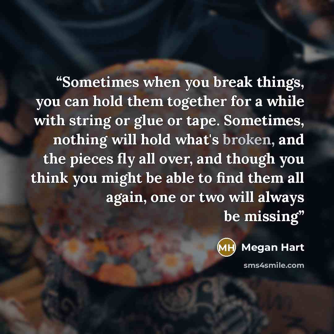 “Sometimes when you break things, you can hold them together for a while with string or glue or tape. Sometimes, nothing will hold what's broken, and the pieces fly all over, and though you think you might be able to find them all again, one or two will always be missing” quote by Megan Hart