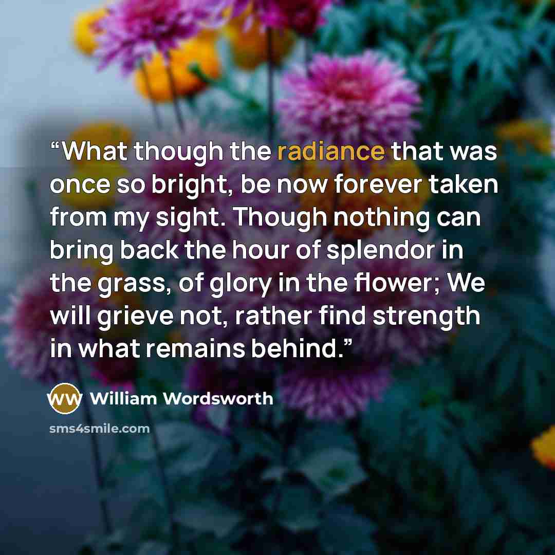 “What though the radiance that was once so bright, be now forever taken from my sight. Though nothing can bring back the hour of splendor in the grass, of glory in the flower; We will grieve not, rather find strength in what remains behind.” quote by William Wordsworth