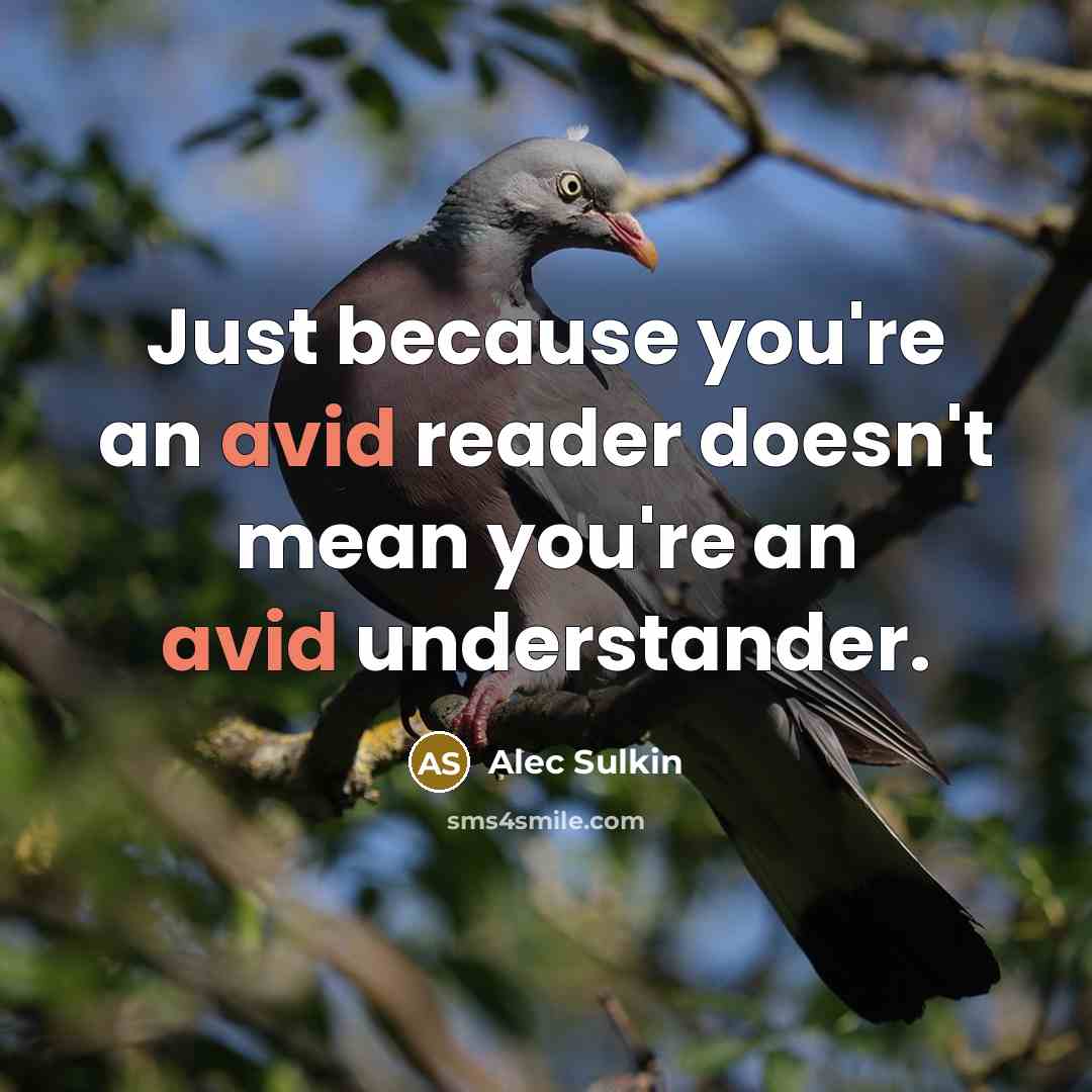 “Just because you're an avid reader doesn't mean you're an avid understander.” quote by Alec Sulkin
