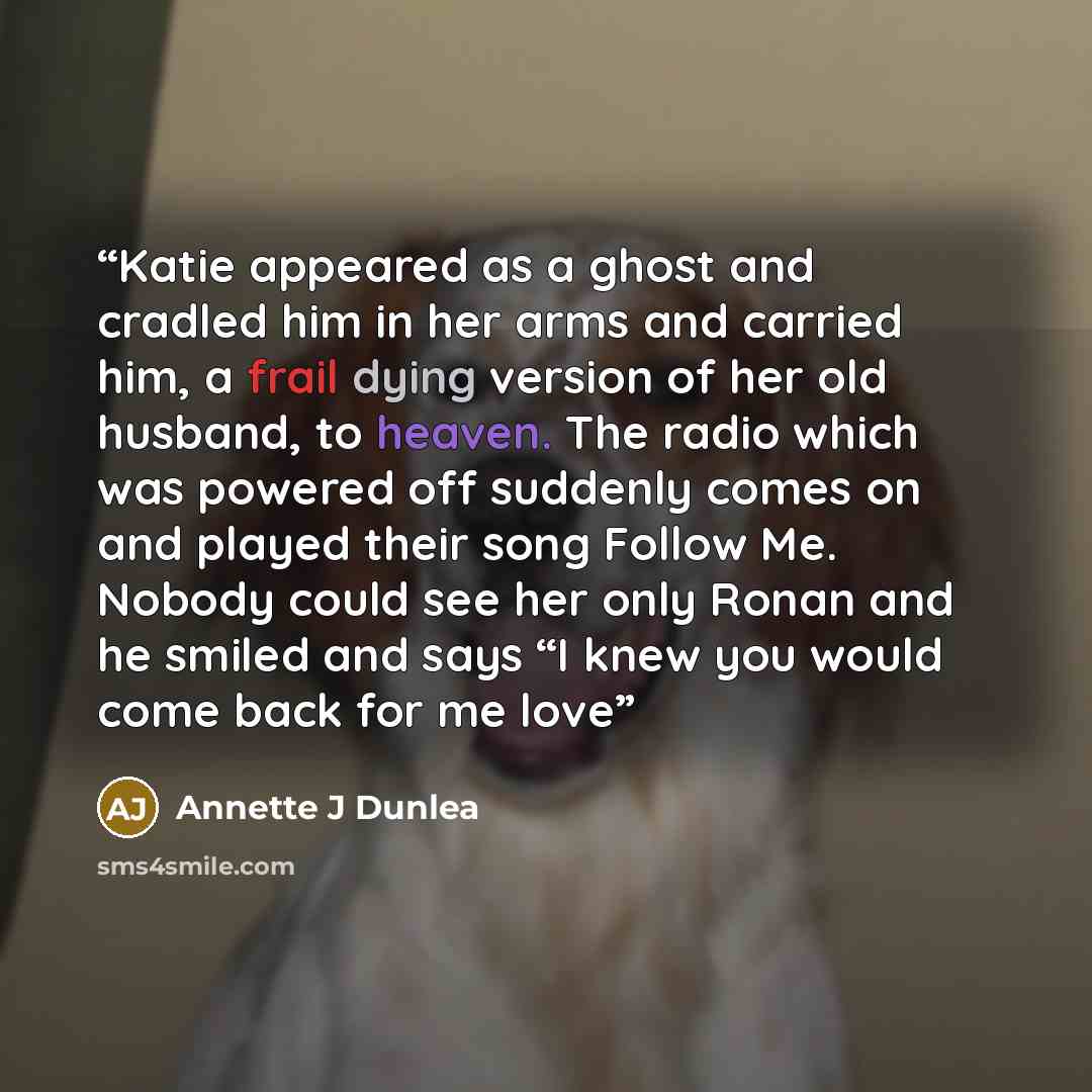 “Katie appeared as a ghost and cradled him in her arms and carried him, a frail dying version of her old husband, to heaven. The radio which was powered off suddenly comes on and played their song Follow Me. Nobody could see her only Ronan and he smiled and says “I knew you would come back for me…” quote by Annette J Dunlea